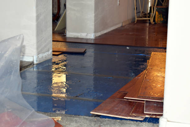 Professional Flood Cleanup technician working in Medina, WA